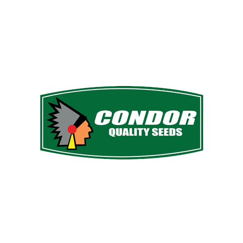 CONDOR-SEEDS-1.png
