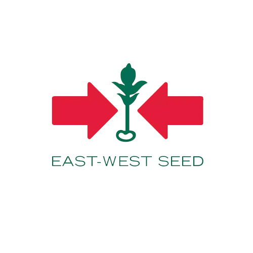 EASTWEST-1.png