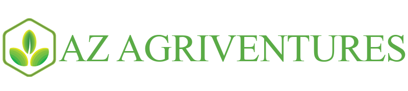 logo-1-1.png