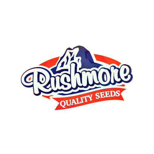 rushmore-seed-1.png