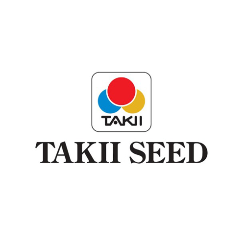 takii-seed-1.png