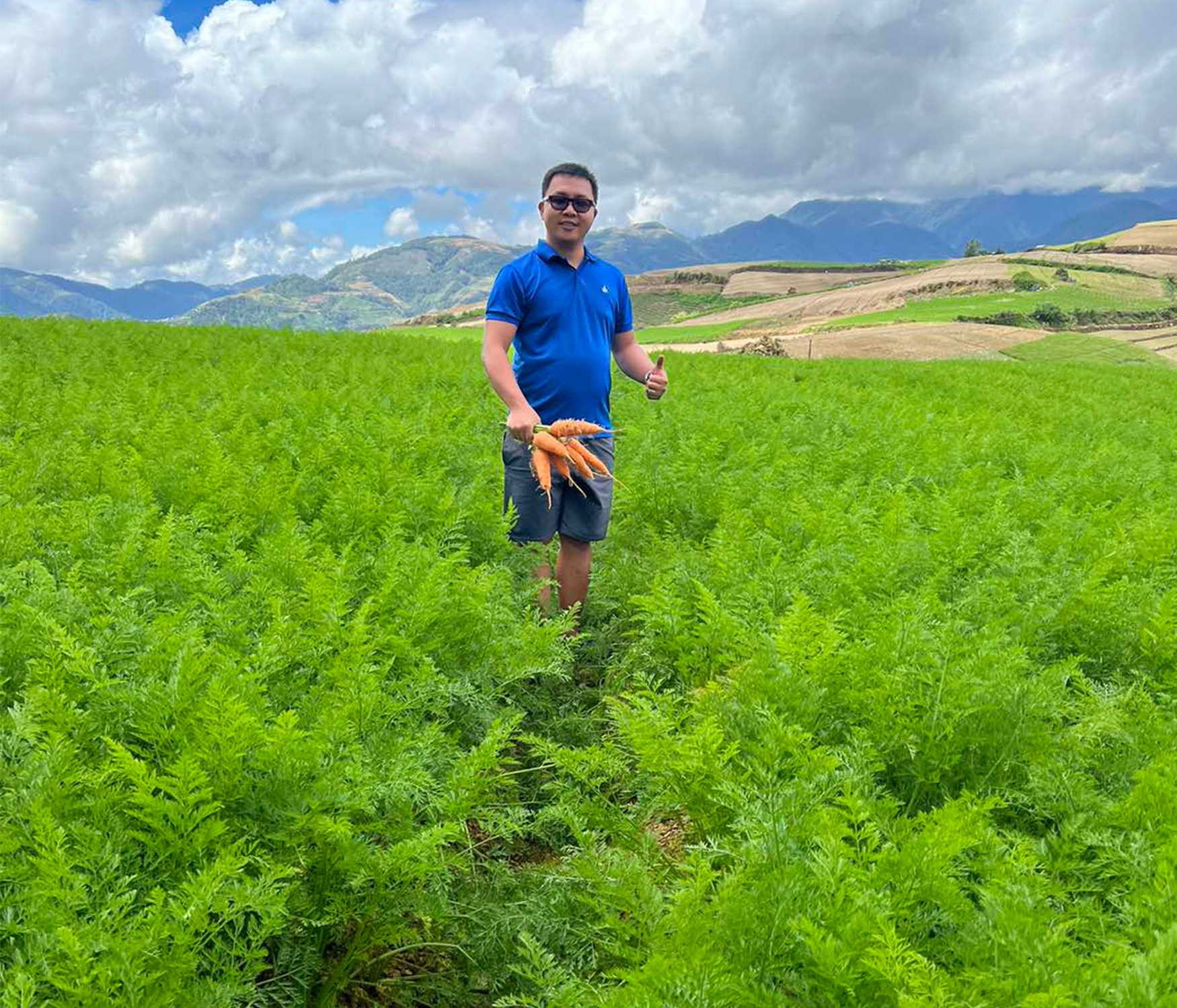 CARROT FARM