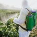 pesticides